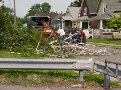 ./Gallery/2011 Bennet Lot Tree Removal/DSC06443.JPG